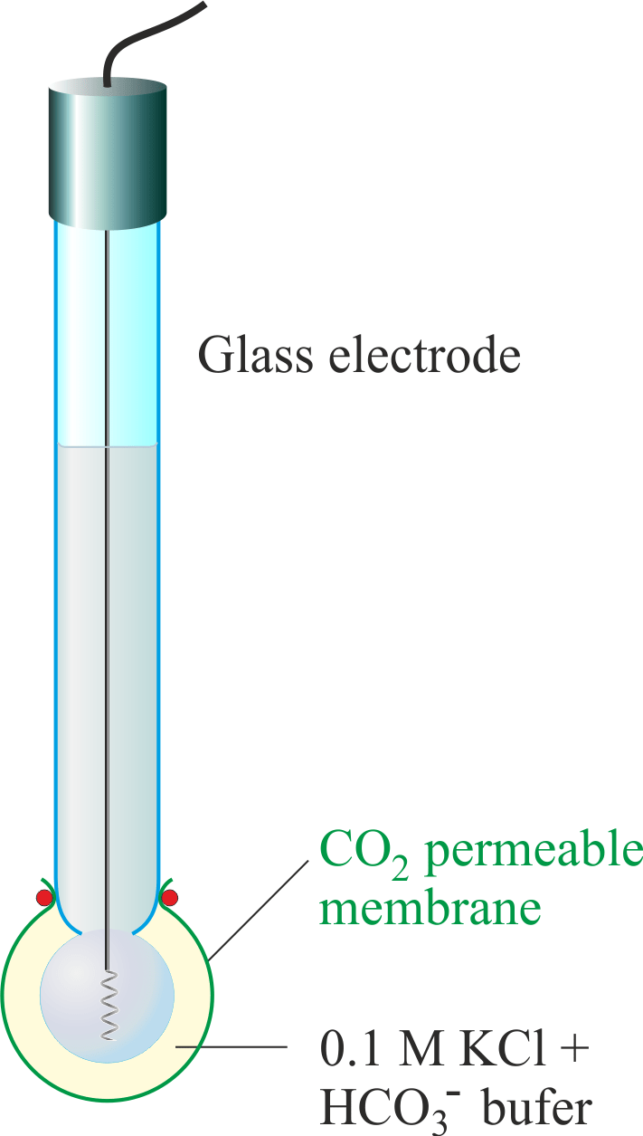 Chemistry Glossary Search results for 'standard hydrogen electrode'