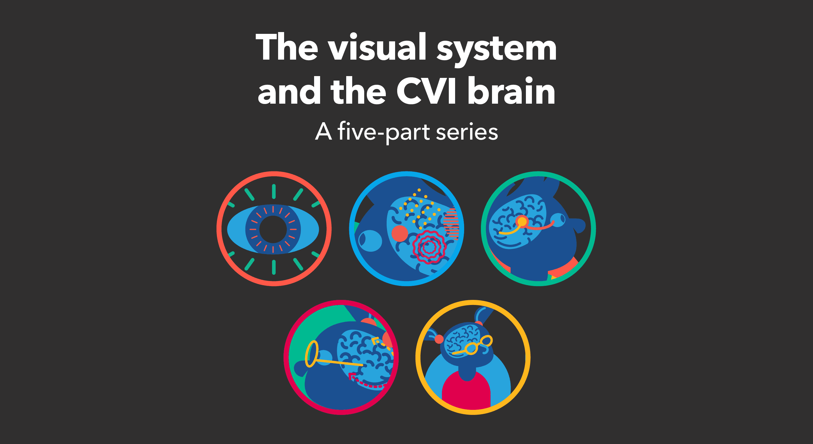The visual system and the CVI brain – Perkins School for the Blind