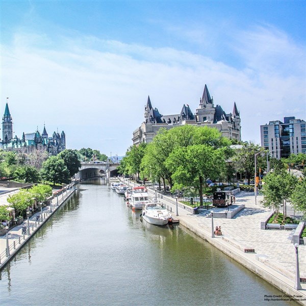 tulip festival 2023 new jersey Ottawa Tulips and Kingston