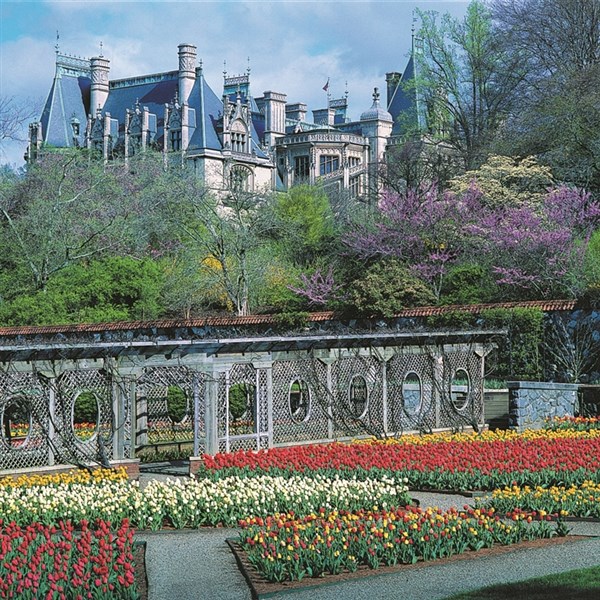 Biltmore Fashion Park Events