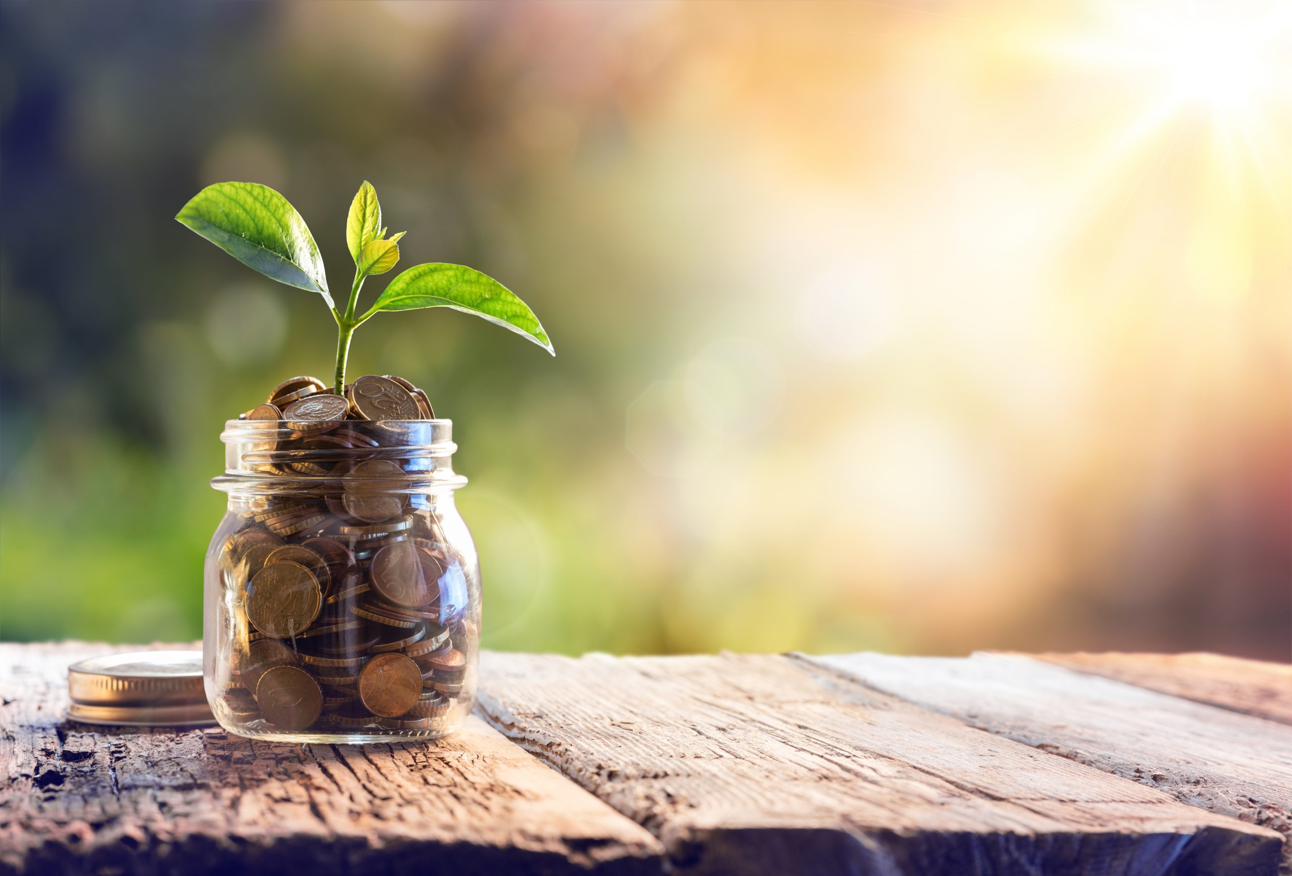 5 Sources of Perks Accountants & Wealth Advisers