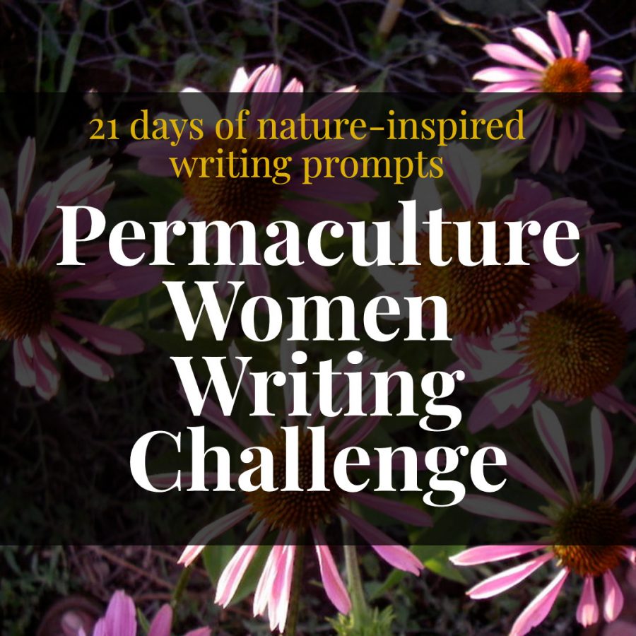 Online Permaculture Design Courses