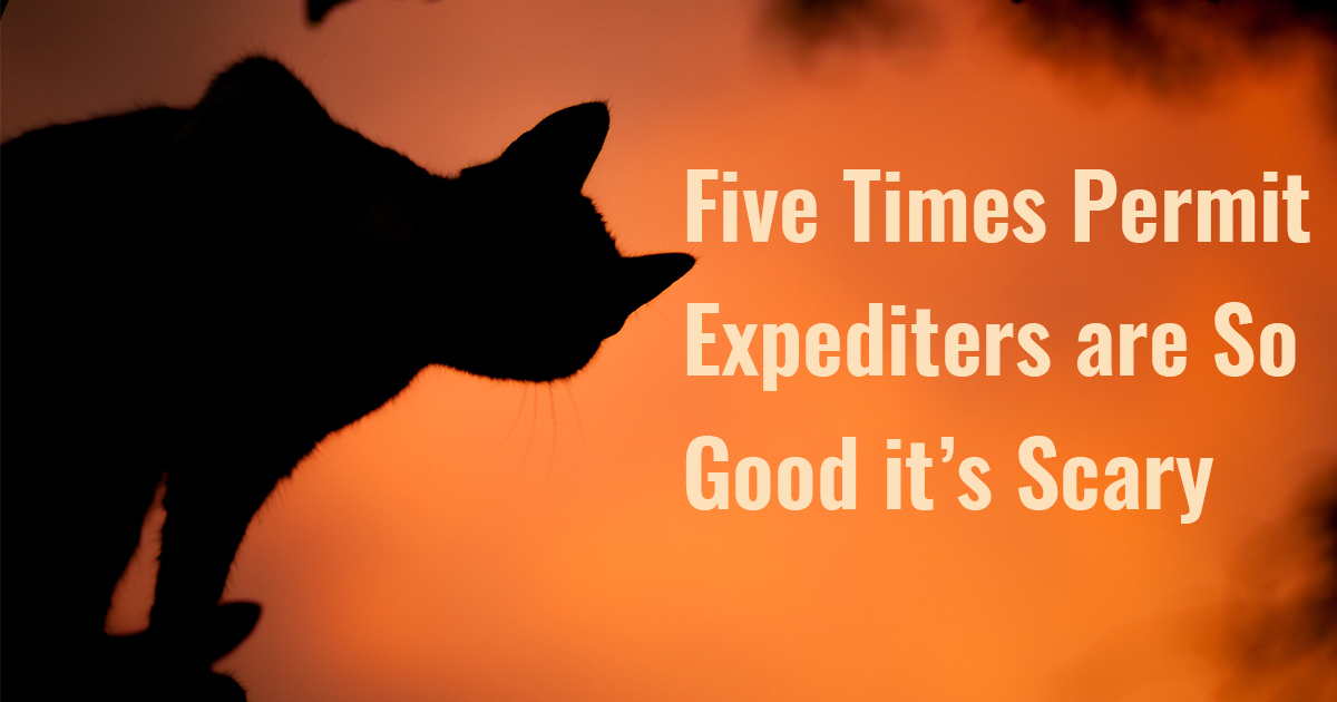 Five Times Permit Expediters Are So Good It's Scary Full Service(04)
