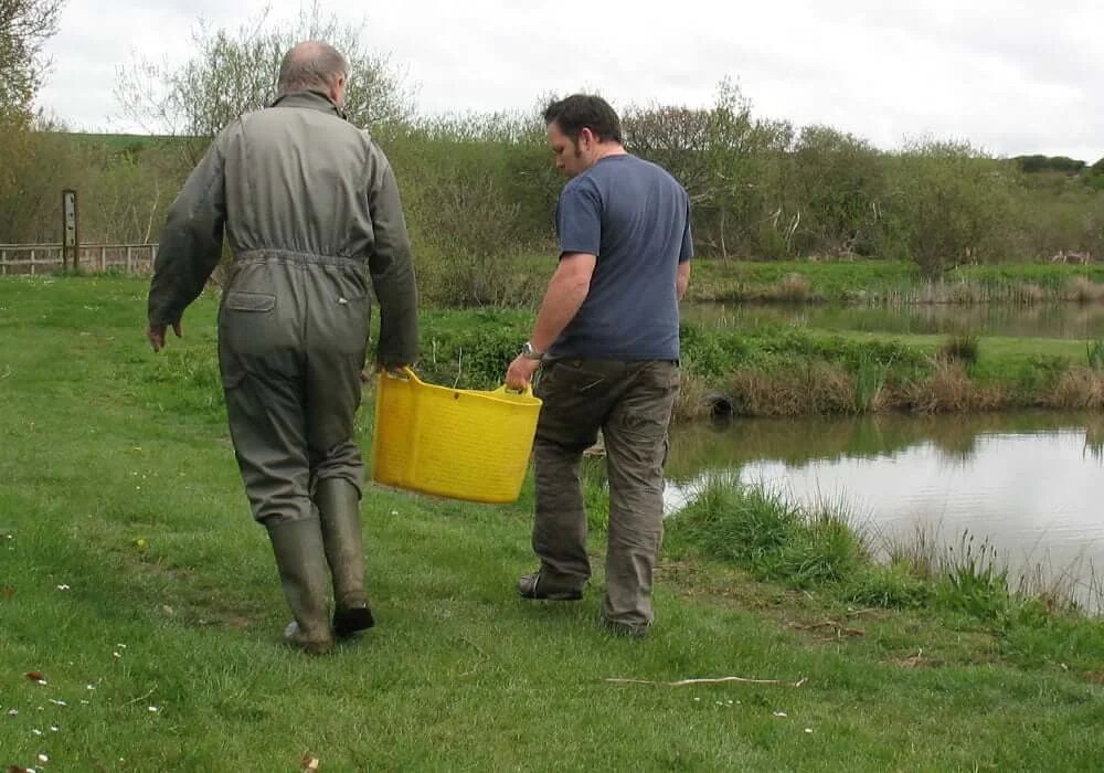 Fishing Holidays In Cornwall Carp And Coarse Fishing
