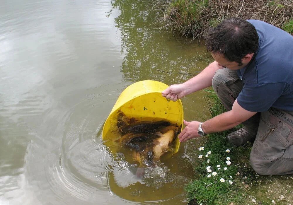 Fishing Holidays In Cornwall Carp And Coarse Fishing