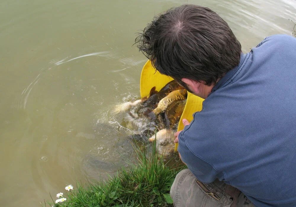 Fishing Holidays In Cornwall Carp And Coarse Fishing