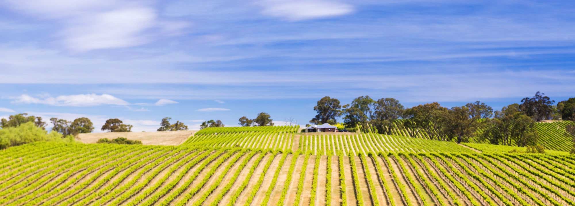 AgriculturalConsultants Perrymans
