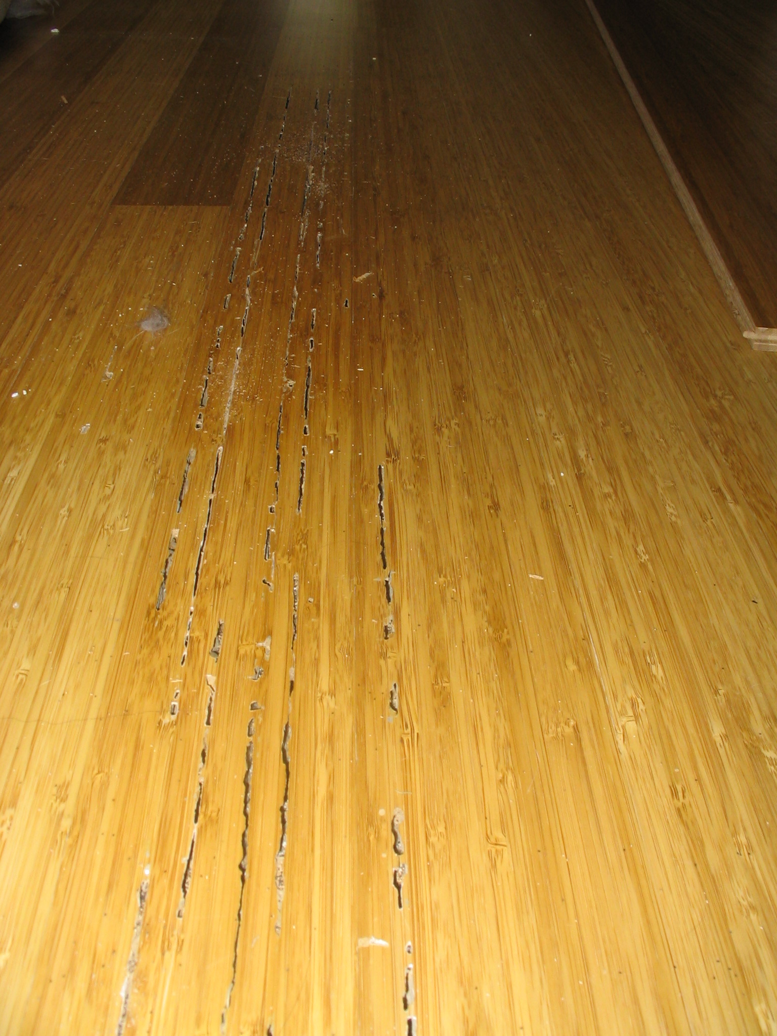 Do Termites Eat Bamboo Flooring Flooring Ideas