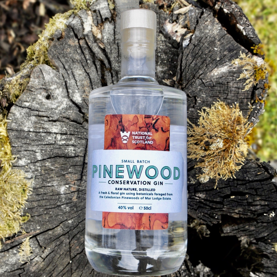 Pinewood Conservation Gin – Persie Distillery