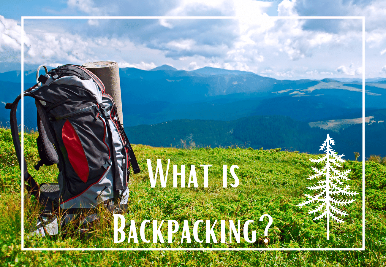 What is Backpacking