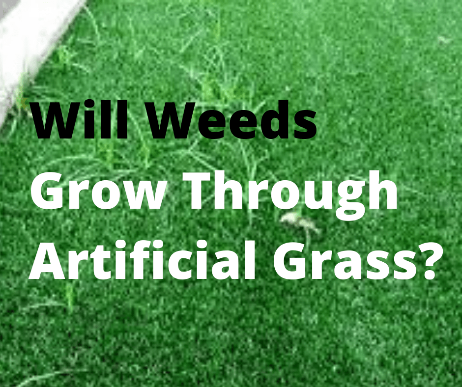 Artificial Grass & Weeds Why You Can Rest Easy And Not Give It A