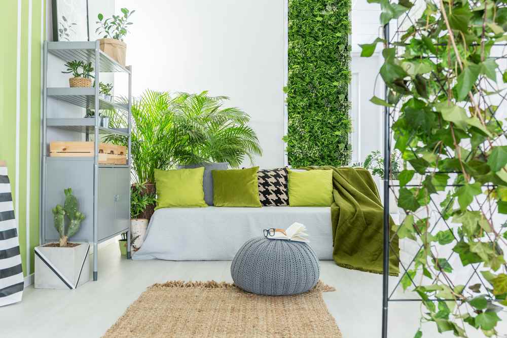 Indoor Plants Perth A Simple Buying and Care Guide PWD