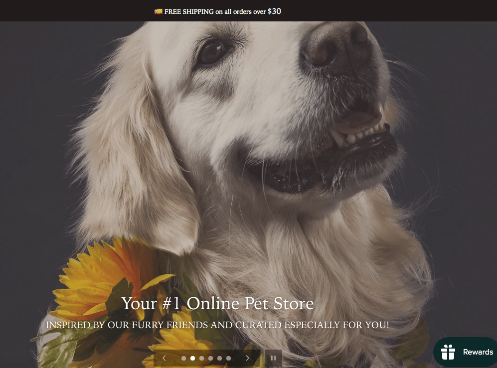 5 Shopify Dropshipping Stores To Get You Inspired In 2022