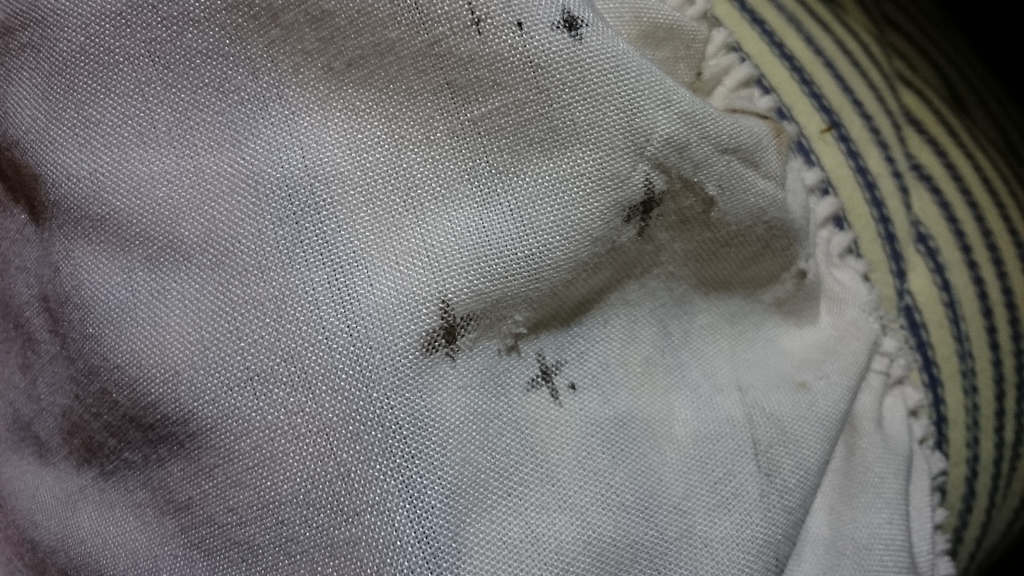 Bed Bug Heat Treatment, Hotel & Domestic Bed Bug Heat Treatment Service
