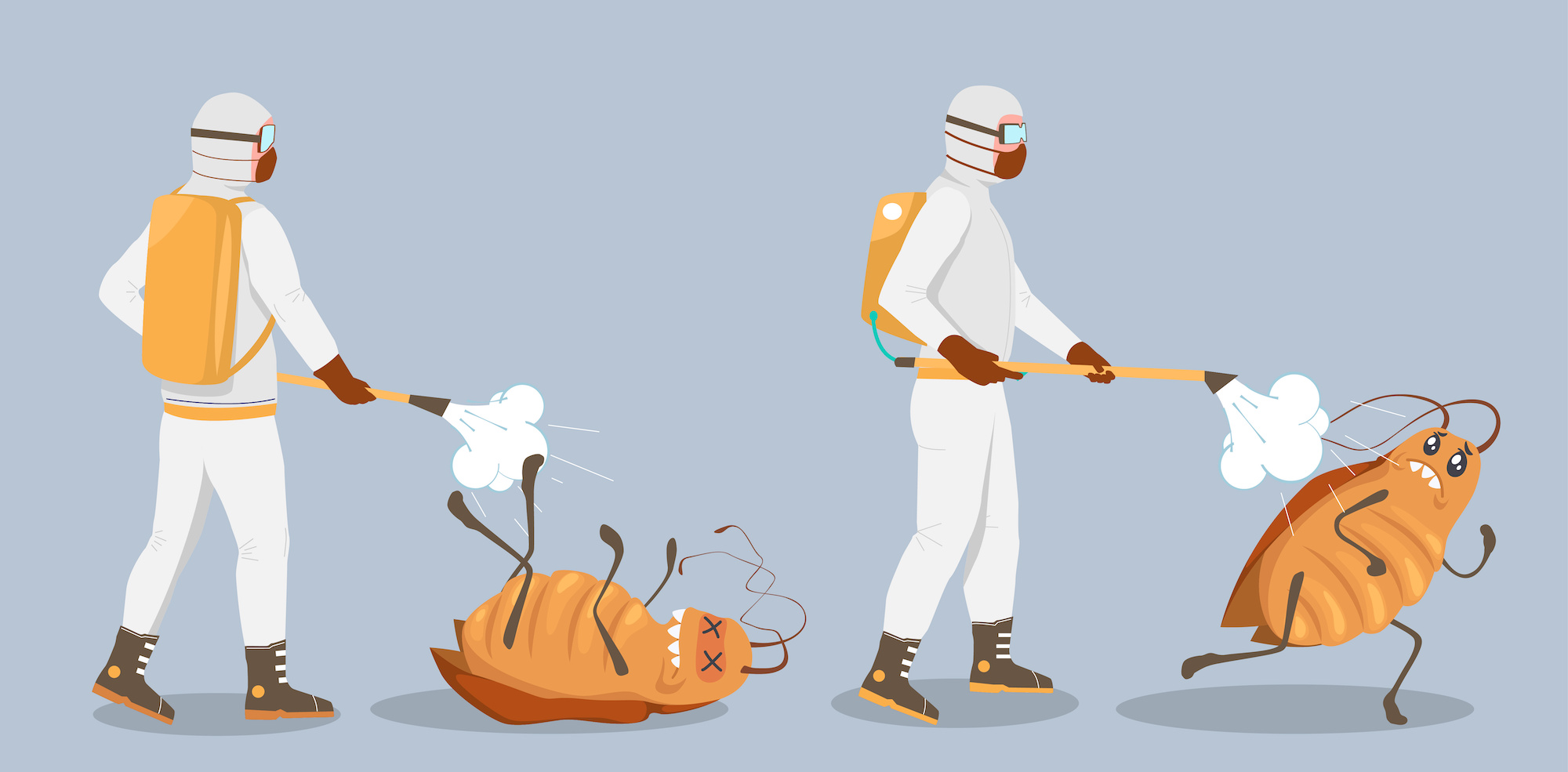 The Difference Between Pest Control and Extermination Anteater