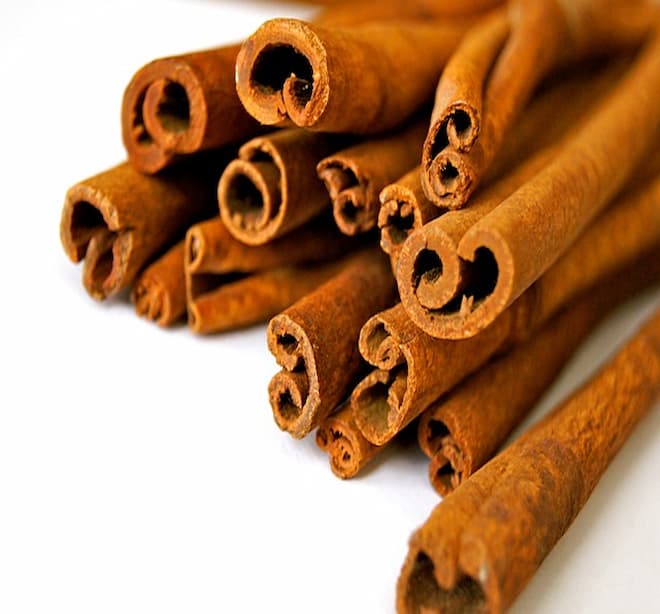 Why Do Bed Bugs Smell Like Cinnamon? Pest Control Brampton