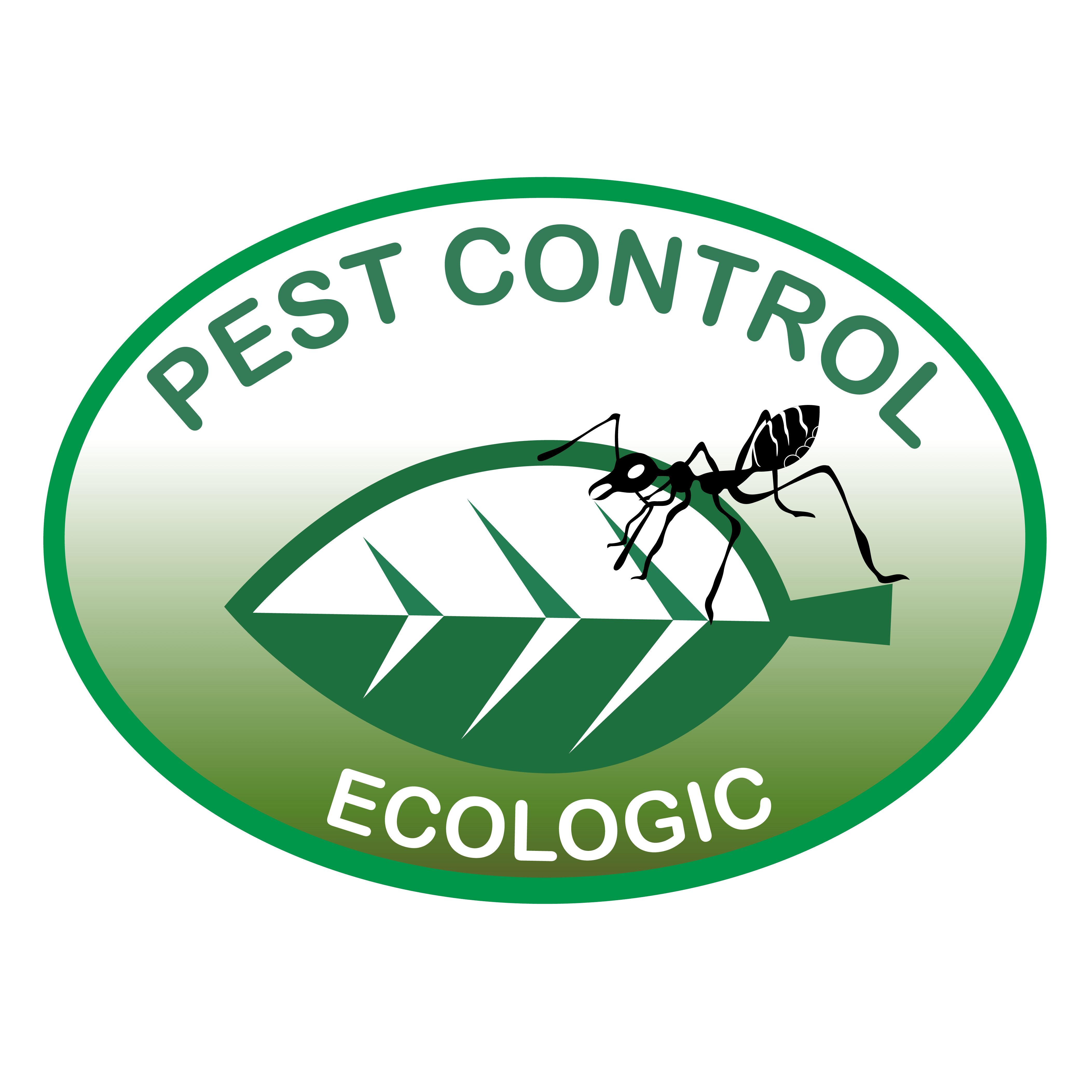 Pest Control Pest Control