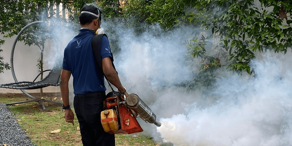 Mosquito Fogging Pest Control Service. Drive Deadly Dengue Away Pest