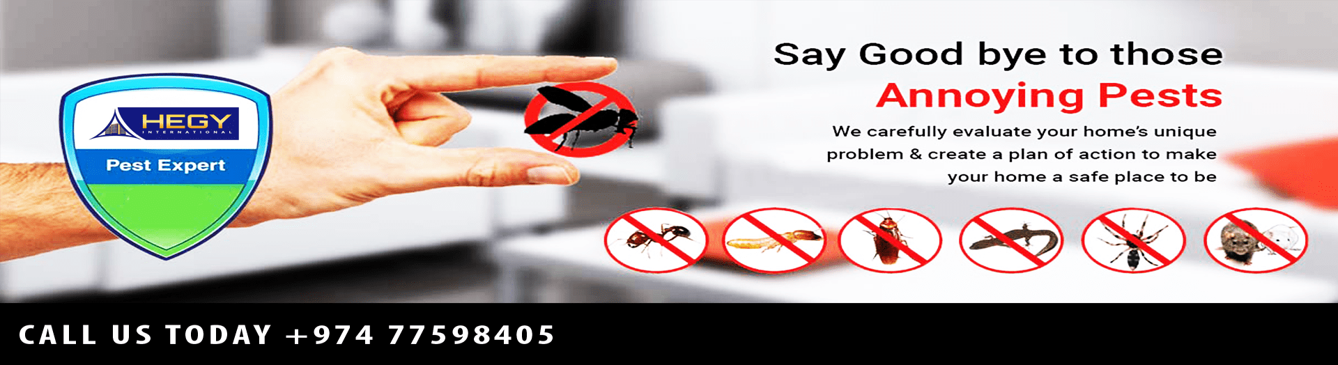 Qatar Pest Control Services Doha Qatar Call +974 77598405