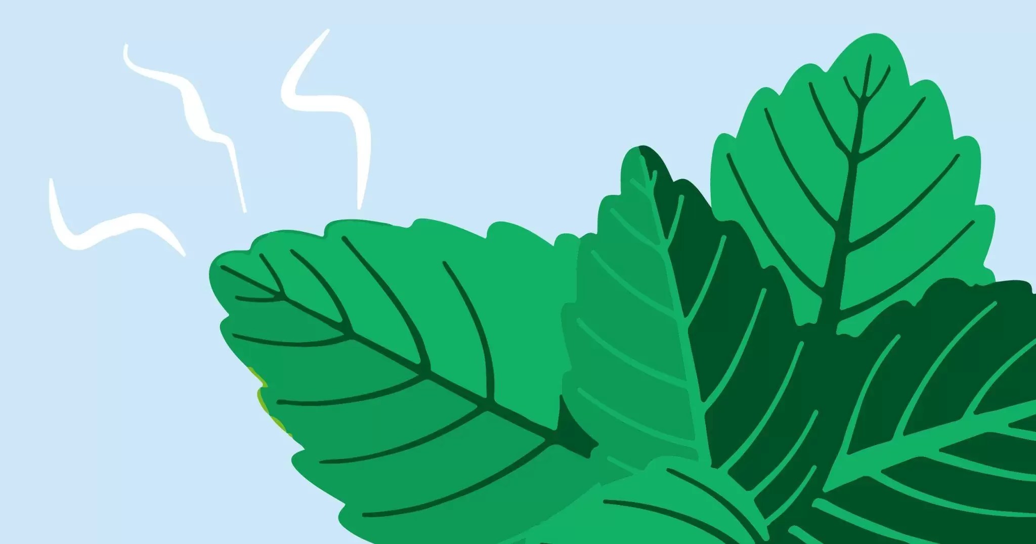 How To Get Rid Of Wasps When Eating Outside Protect Your Pub