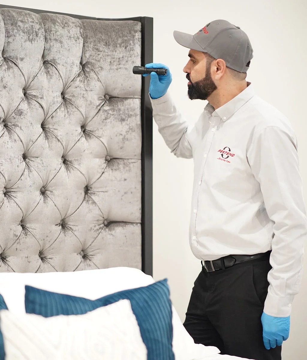 Pest Control Markham Affordable Pest Extermination in Markham