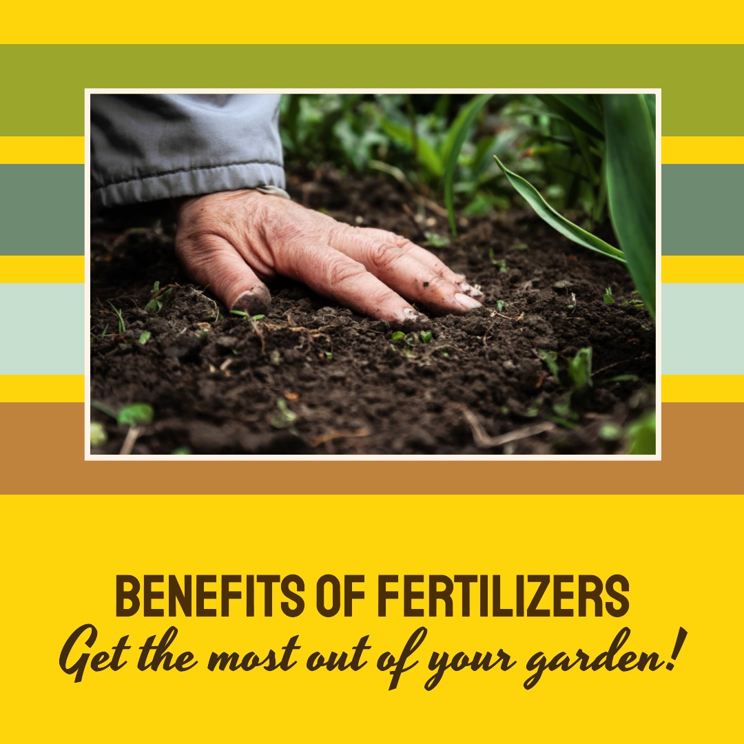 What are fertilisers and why do you need to use them? Pestrol Australia