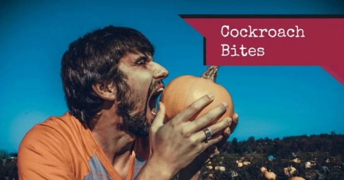 Cockroach Bites (How To Treat Them?) Pest Survival Guide