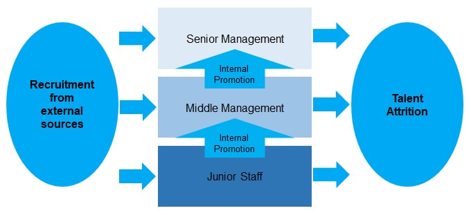 Six key elements in the talent management value chain pesync