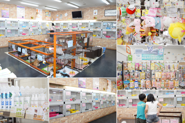 草加バイパス店のご案内 草加市清門 ペットショップCoo&RIKU