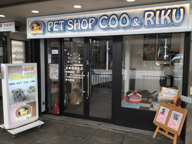大好きな動物を飼おう！四条烏丸でおすすめのペットショップ Pathee(パシー)