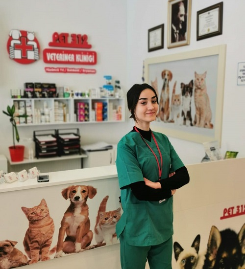 PET 312 Veteriner Kliniği
