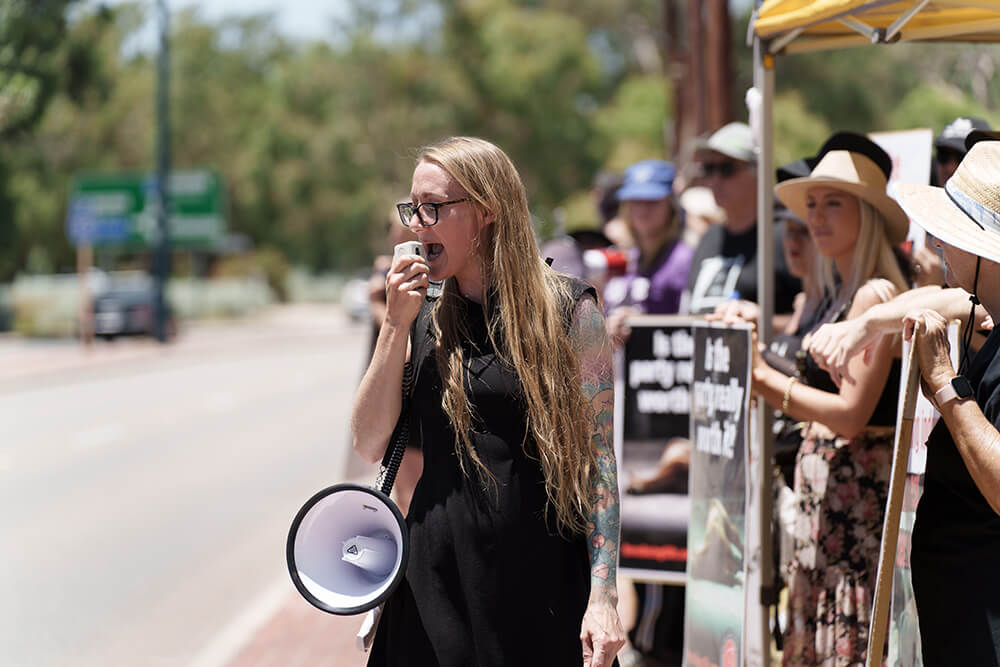 ‘Horse Graveyard’ Haunts Deadly Perth Cup News PETA Australia