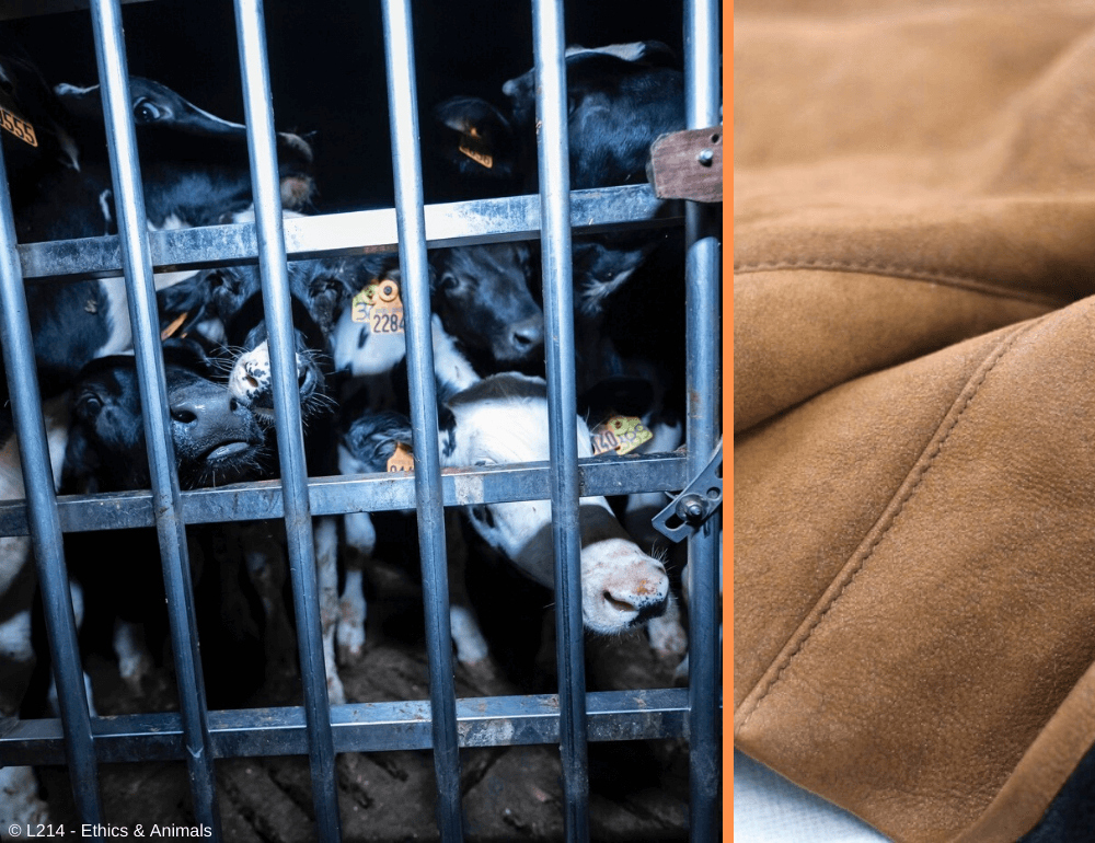 The Blood, Sweat, and Tears Behind Suede