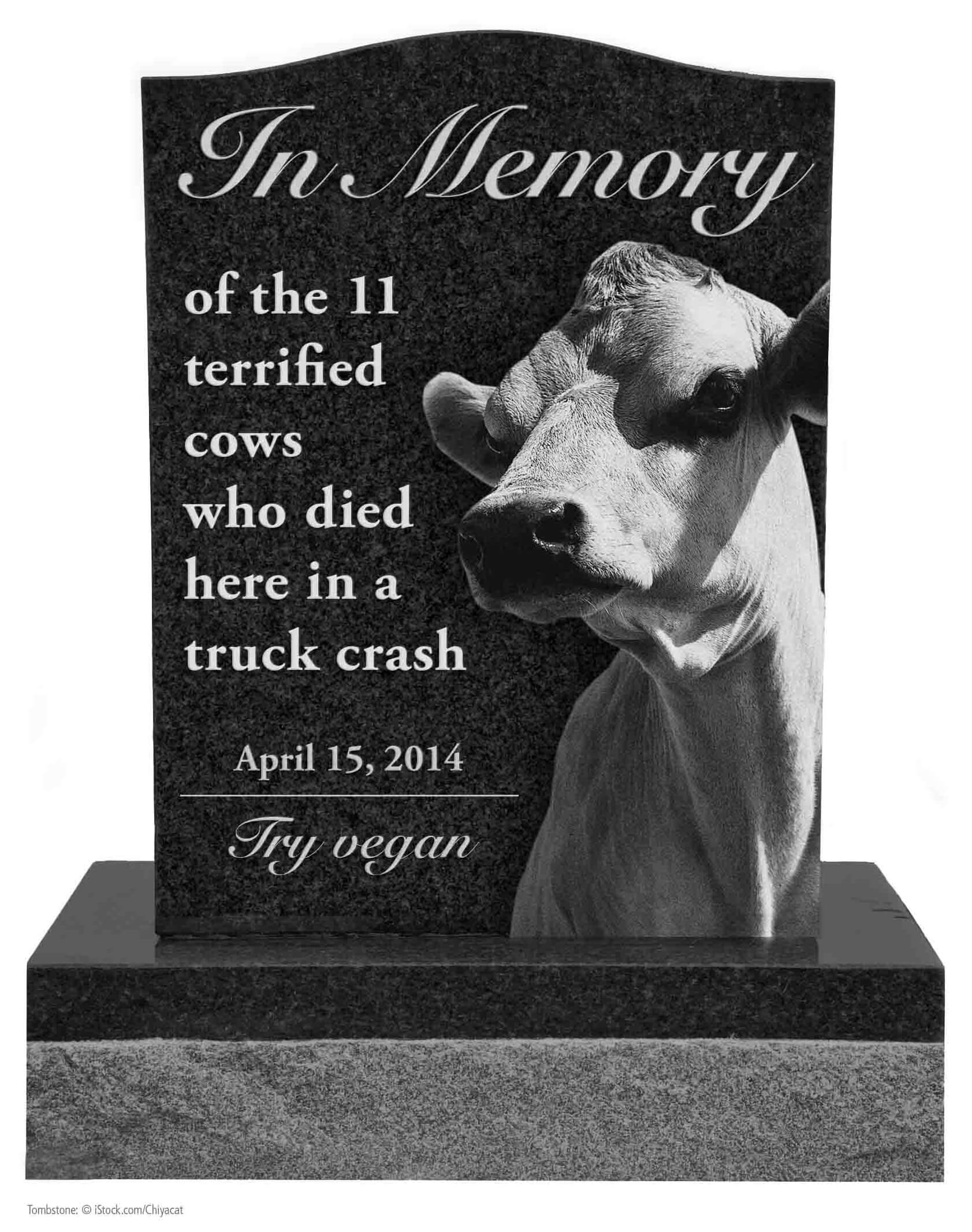 PETA's Roadside Memorials Pay Homage to More Than 500 Slain Animals PETA
