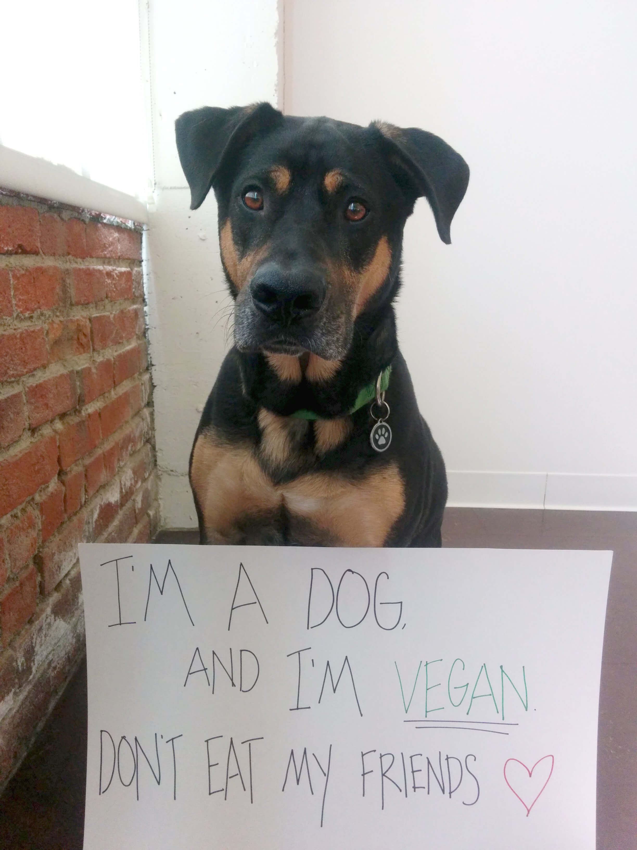 17 Photos That Bust Animal Rights Myths PETA
