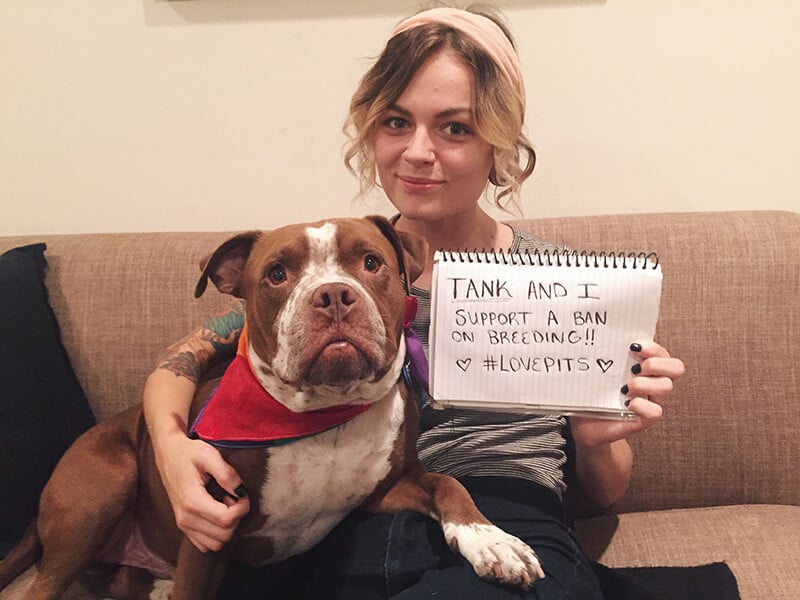 Pit Bulls Pose in Support of BreedSpecific Protective Legislation PETA
