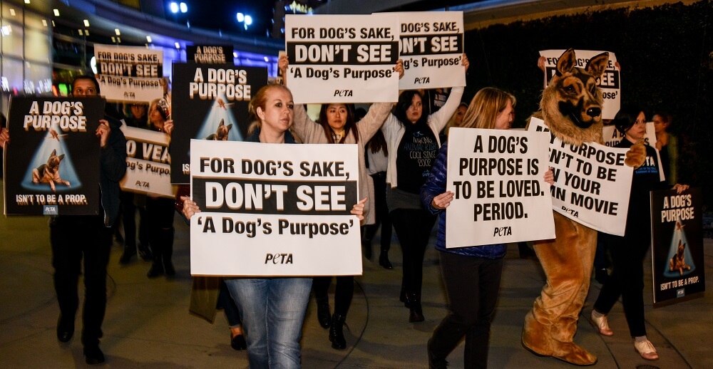 Our Purpose This Weekend? Protesting Treatment of Dogs in 'A Dog's