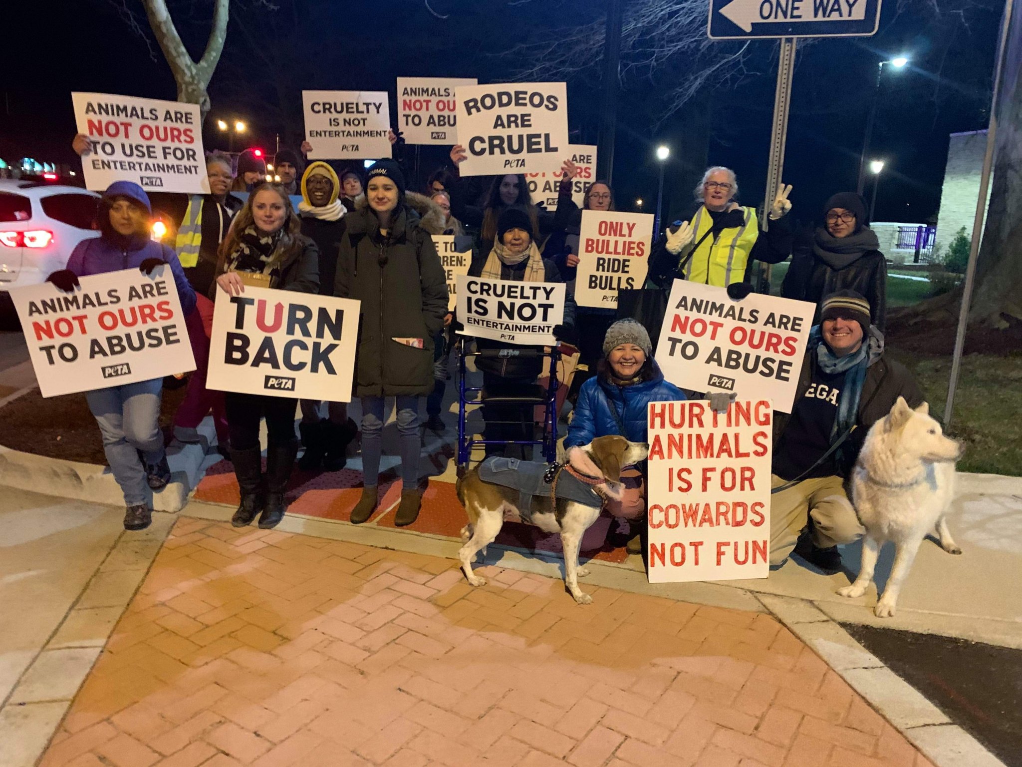 Never Go to a Rodeo — This Powerful Video Shows Why PETA