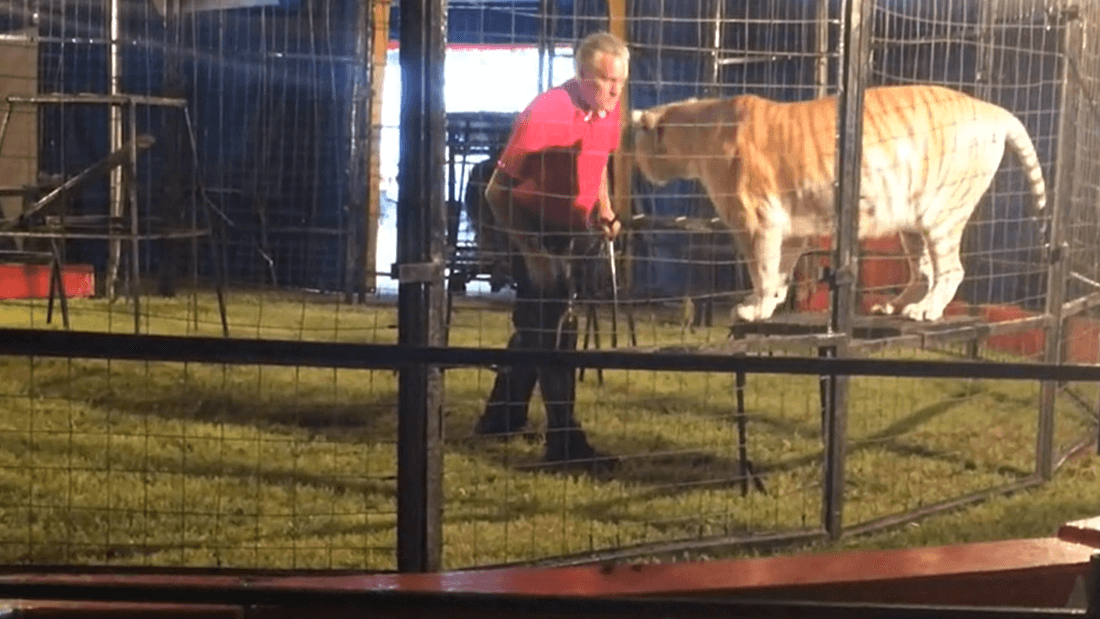 10 Notorious Animal Abusers 'Tiger King' Didn't Expose PETA