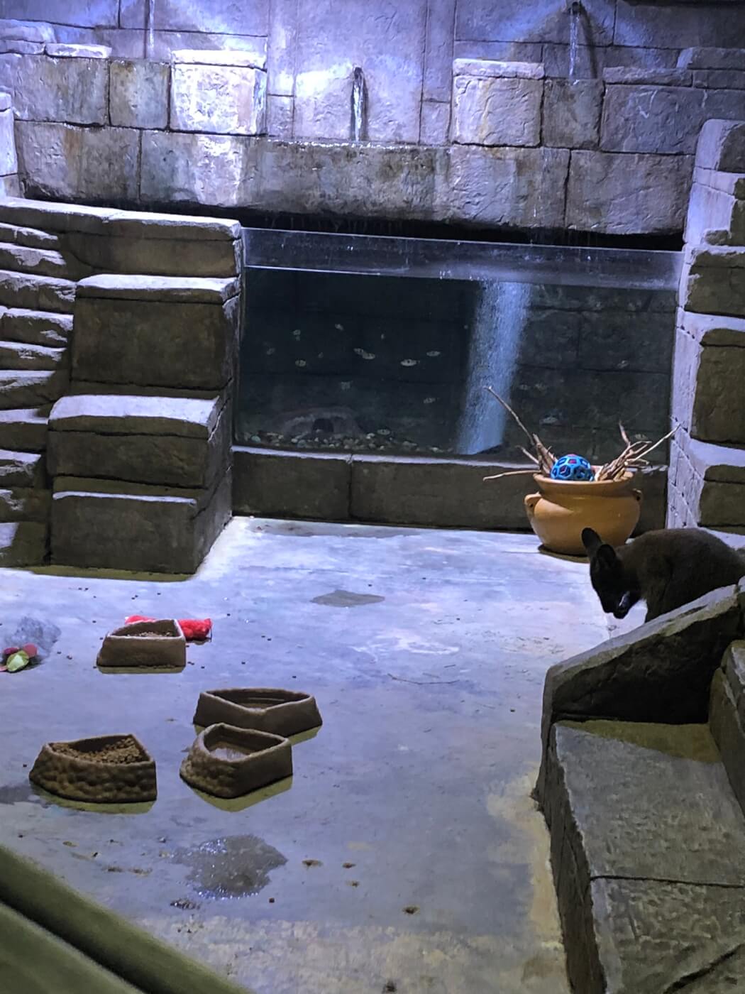 SeaQuest Littleton A Shopping Mall Aquarium Hellhole PETA