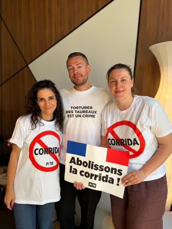 Activistas con carteles