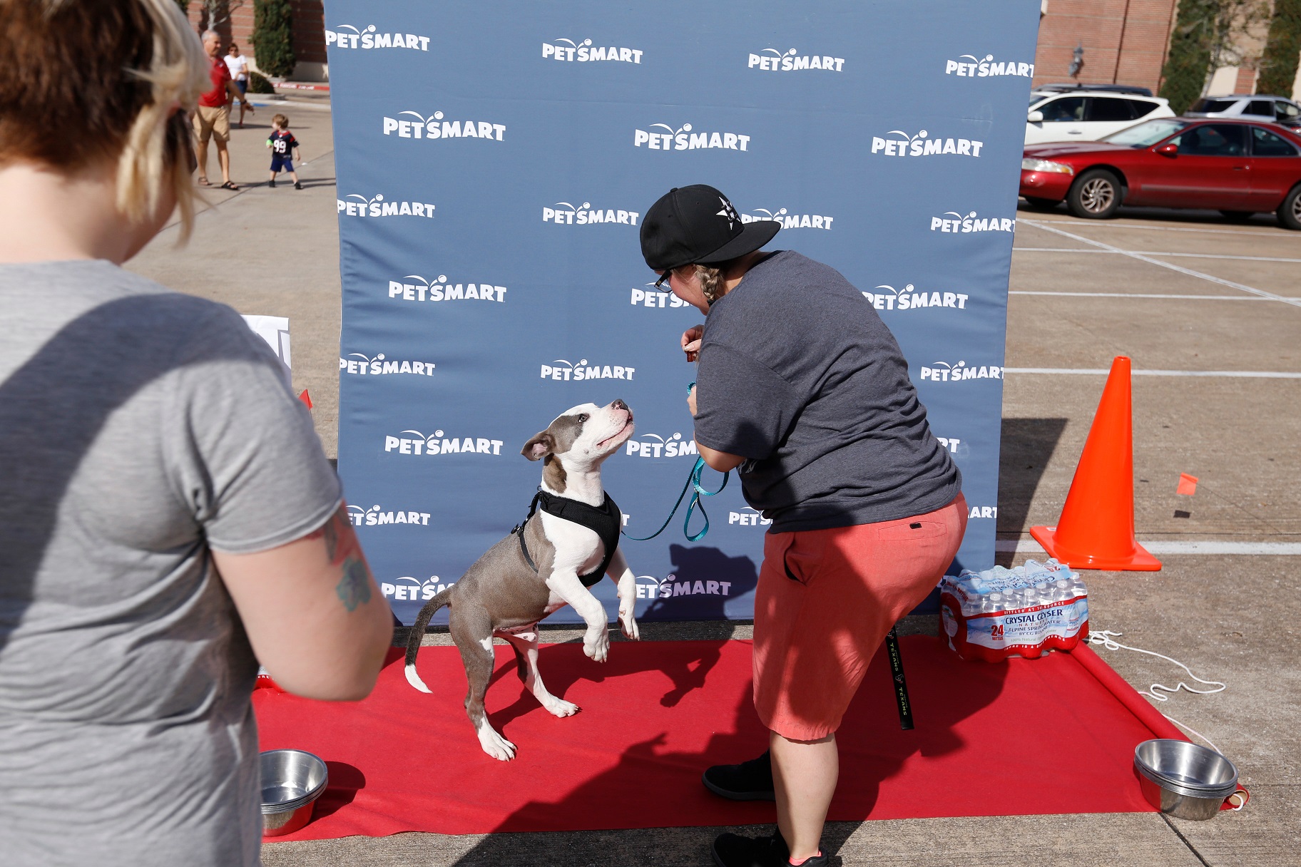 PetSmart Houston Rockets Event Pet Age