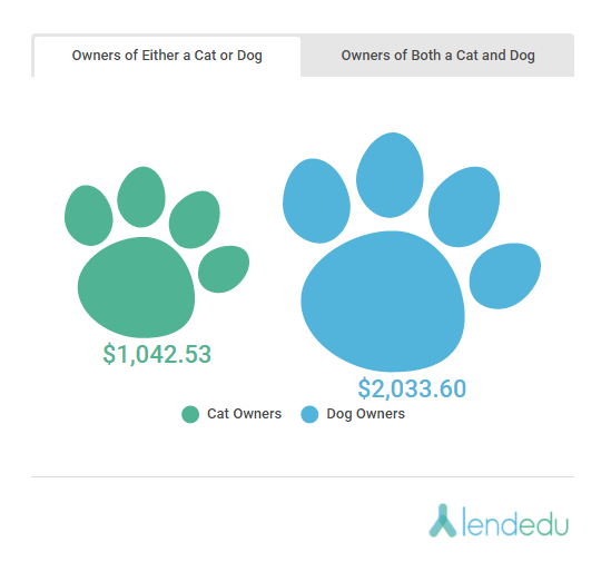Are Dogs Better Than Cats Survey
