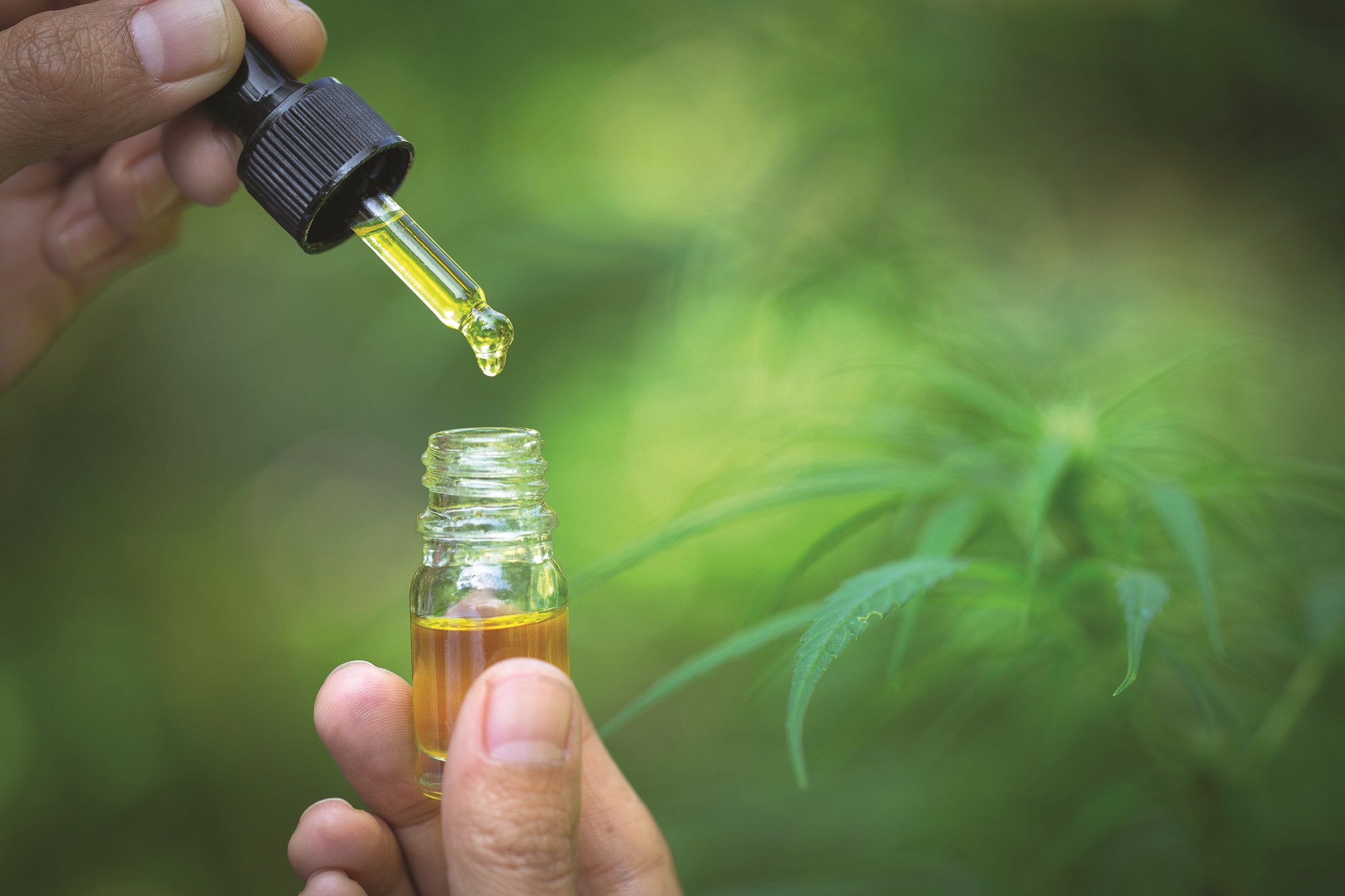 FDA Indicates Need to Better Regulate CBD Products, Including Those For