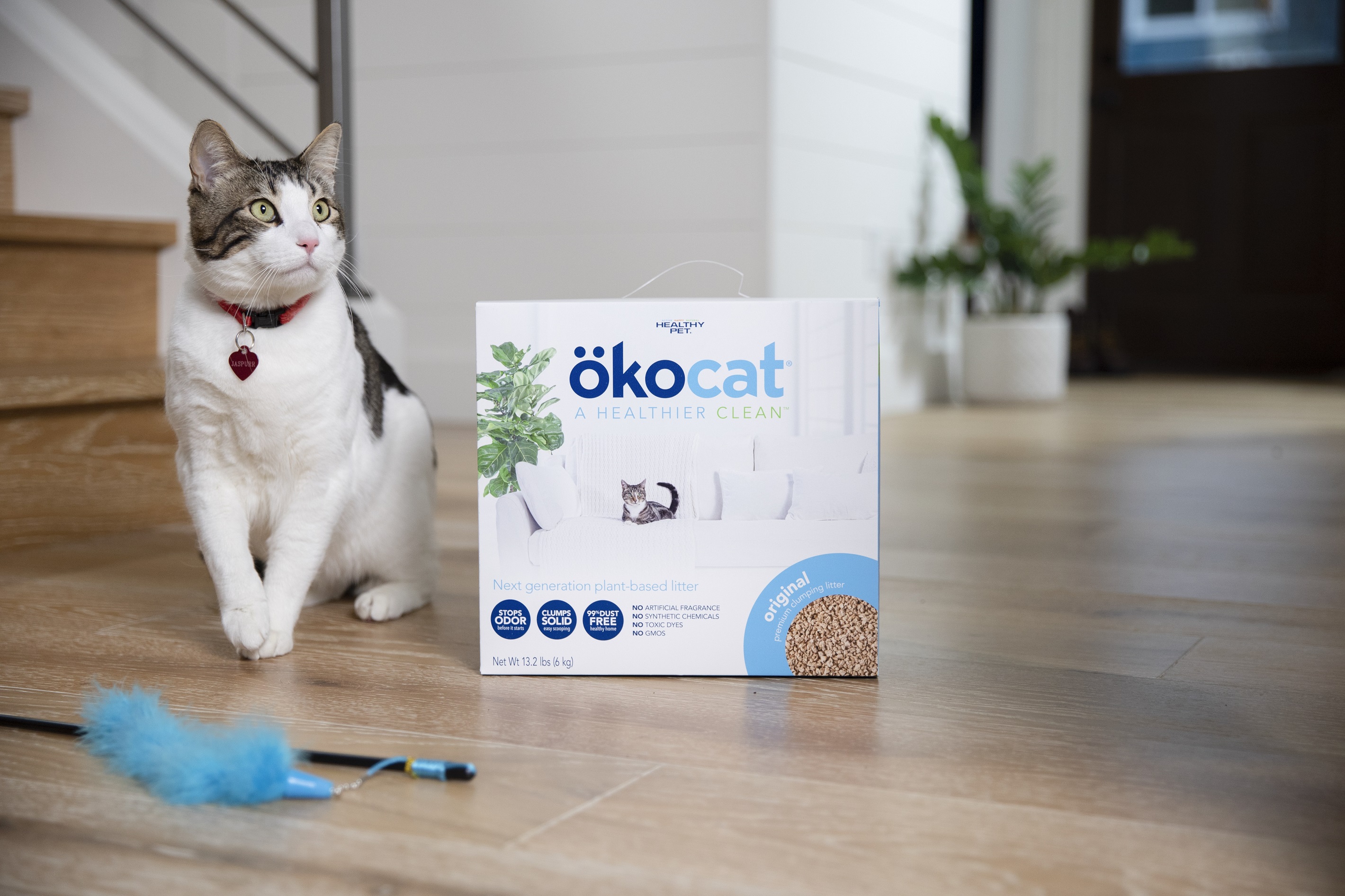 Pet Supplies Plus to Carry ökocat Natural Cat Litter Nationwide Pet Age