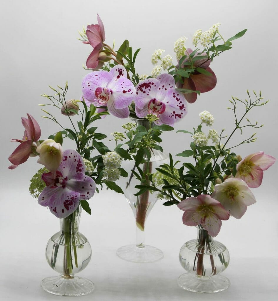 16 Best Best Florists for Flower Delivery in Seattle, WA Petal Republic