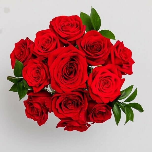 11 Best Florists For Roses Delivery in Chicago Petal Republic