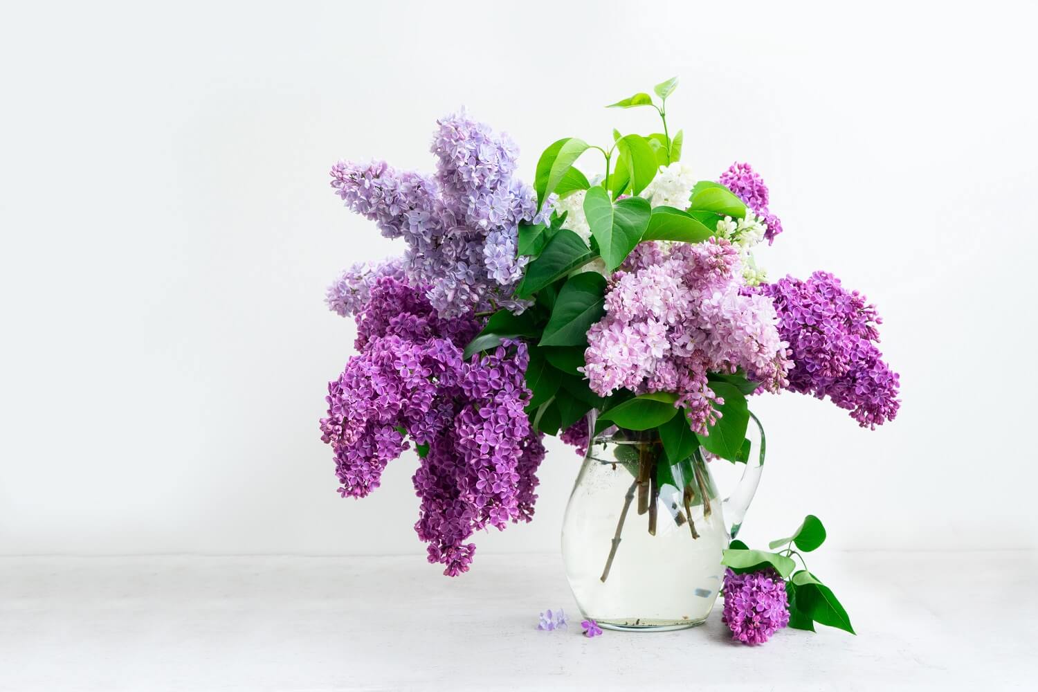 How Long Do Flowers Typically Last at Floyd McKinney blog