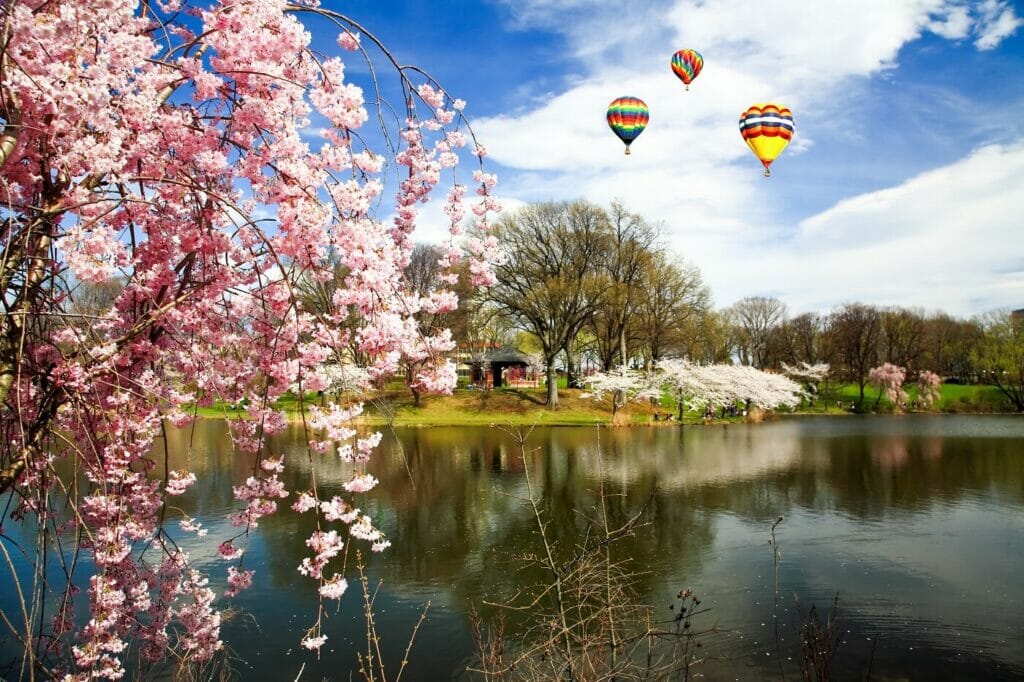 14 Best New Jersey Flower Delivery Services Petal Republic
