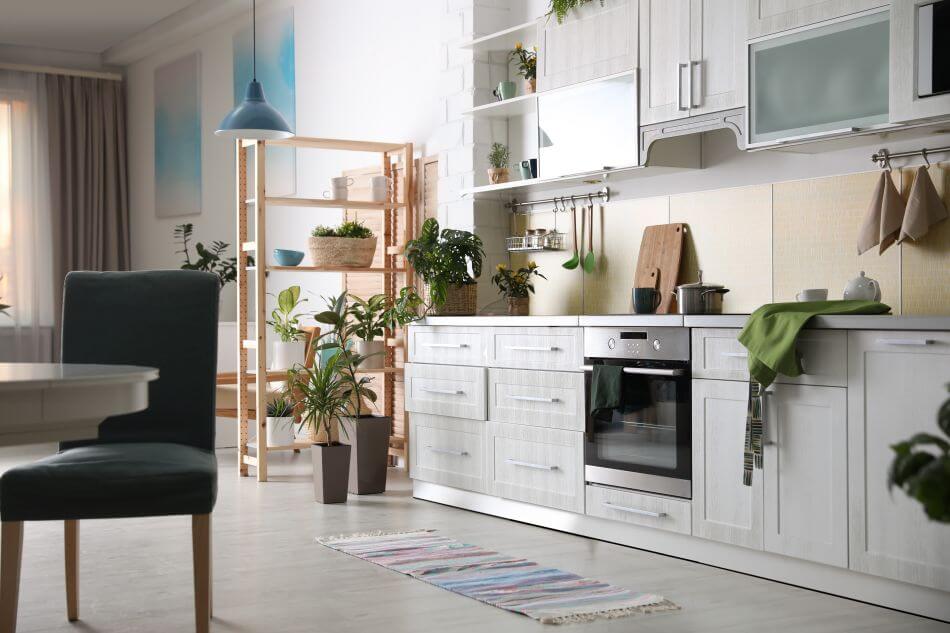 8 Best Feng Shui Plants for the Kitchen Petal Republic